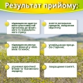 Ашваганда супер концентрат по 500 мг №60