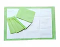 Пелюшки 21Vikt Good Care Aloe Vera одноразові поглинаючі 90 см x 60 см зелена, 1 шт