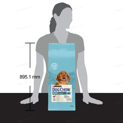 Корм сухий для цуценят Purina Dog Chow Puppy Lamb зі смаком ягняти, 14 кг