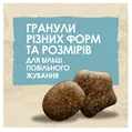 Корм сухий для цуценят Purina Dog Chow Puppy Lamb зі смаком ягняти, 14 кг