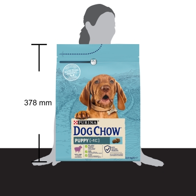 Корм сухой для щенков Purina Dog Chow Puppy Lamb со вкусом ягненка, 2,5 кг
