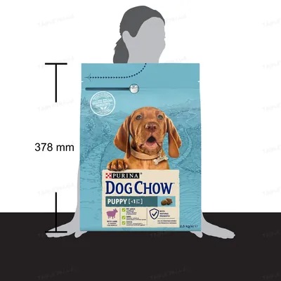Корм сухий для цуценят Purina Dog Chow Puppy Lamb зі смаком ягняти, 2,5 кг