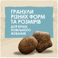 Корм сухой для щенков Purina Dog Chow Puppy Lamb со вкусом ягненка, 2,5 кг
