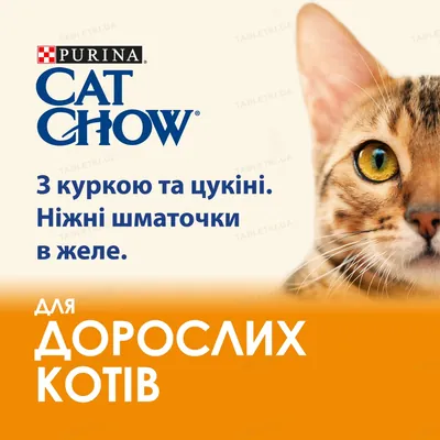 Корм вологий для дорослих кішок Purina Cat Chow Adult з куркою і цукіні, 85 г