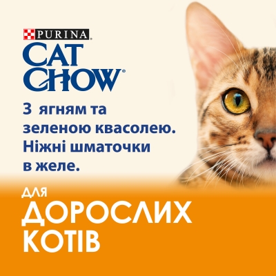 Корм вологий для дорослих кішок Purina Cat Chow Adult з ягням і зеленою квасолею, 85 г