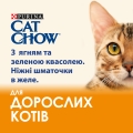 Корм вологий для дорослих кішок Purina Cat Chow Adult з ягням і зеленою квасолею, 85 г