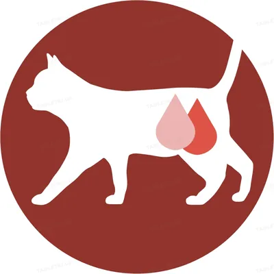 Корм вологий для кастрованих котів/стерилізованих кішок Purina One Sterilcat з індичкою й зеленою квасолею, 85 г