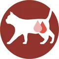 Корм вологий для кастрованих котів/стерилізованих кішок Purina One Sterilcat з індичкою й зеленою квасолею, 85 г