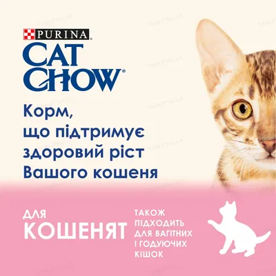 Корм вологий для кошенят Purina Cat Chow Kitten шматочки в желе з індичкою і цукіні, 85 г