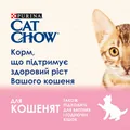 Корм вологий для кошенят Purina Cat Chow Kitten шматочки в желе з індичкою і цукіні, 85 г
