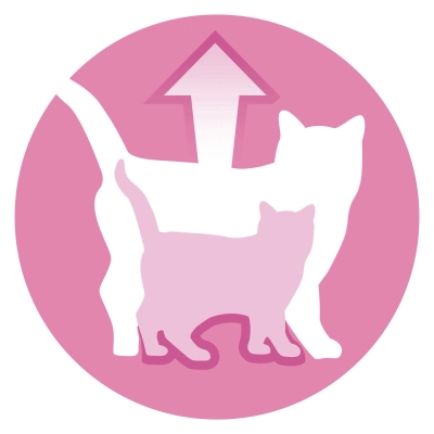 Корм влажный для котят и лактирующих кошек Purina One Junior с лососем и морковью, 85 г
