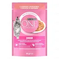 Корм вологий для кошенят і лактуючих кішок Purina One Junior з лососем і морквою, 85 г