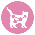 Корм влажный для котят и лактирующих кошек Purina One Junior с лососем и морковью, 85 г