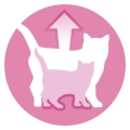 Корм влажный для котят и лактирующих кошек Purina One Junior с лососем и морковью, 85 г