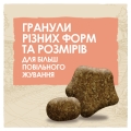 Корм сухой Purina Dog Chow Sensitive для взрослых собак с чувствительным пищеварением, лосось, 14 кг