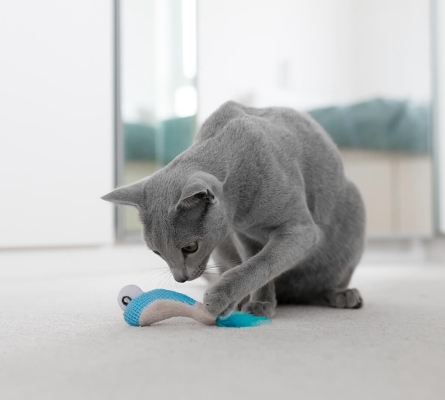 Игрушка для котов Petstages Dental Shrimpies pt67836 креветки с кошачьей мятой, 2 штуки