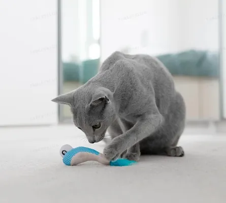 Іграшка для котів Petstages Dental Shrimpies pt67836 креветки з котячою м'ятою, 2 штуки