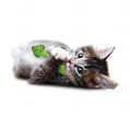 Іграшка для котів Petstages Fresh Breath Mint Stick pt335 М'ятна паличка, зелена