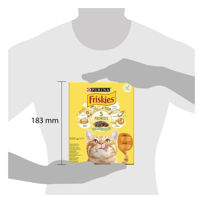 Корм сухой для кошек Purina Friskies с курицей и овощами, 300 г