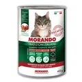 Корм вологий Morando Tradizioni для котів шматочки в соусі з яловичиною, 405 г