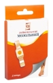 Пластырь медицинский D.S. мозольный 2 см х 6 см, 5 штук