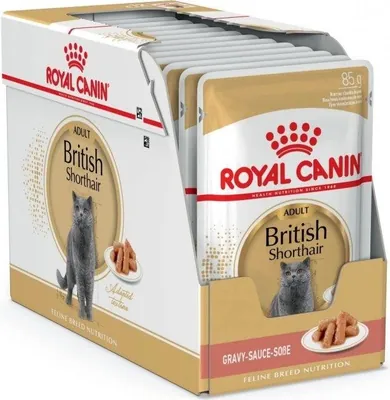 Корм вологий для кішок Royal Canin British Shorthair Adult породи британська короткошерста від 12 місяців, 12 штук по 85 г