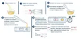 Тест-касета Prima Diagnostic Pregnancy Test для визначення вагітності чутливість 10 мМО/мл, 1 штука