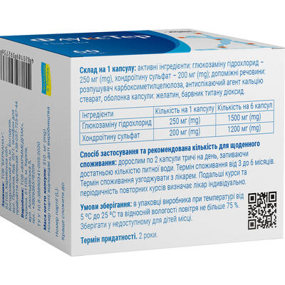 ФлуксТер Solution Pharm капсулы №60