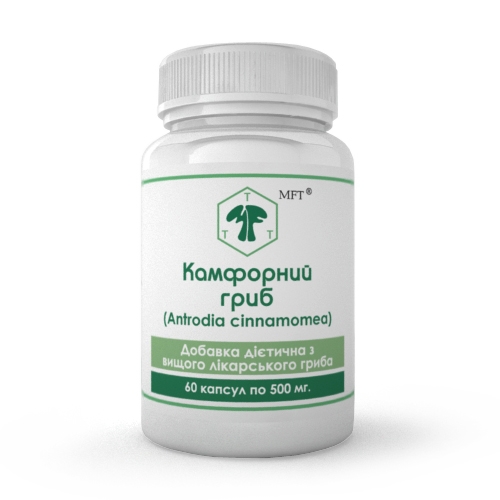 Гриб Камфорный MFT капсулы по 500 мг №60