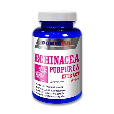 Ехінацеї пурпурової екстракт POWERFUL Echinacea Purpurea Extract капсули №60 у бан.