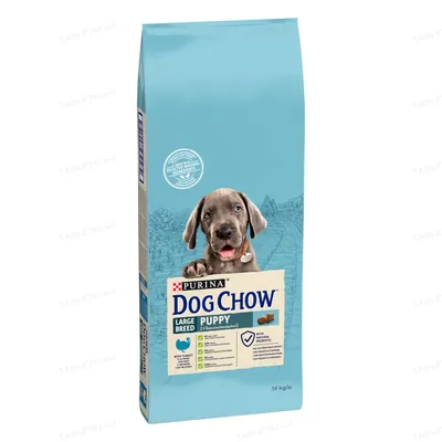 Корм сухий для цуценят великих порід Purina Dog Chow Puppy Large Breed зі смаком індички, 14 кг