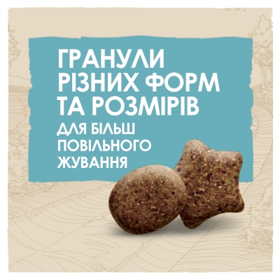 Корм сухой для щенков больших пород Purina Dog Chow Puppy Large Breed со вкусом индейки, 14 кг