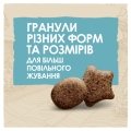 Корм сухой для щенков больших пород Purina Dog Chow Puppy Large Breed со вкусом индейки, 14 кг