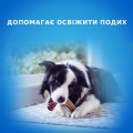 Ласощі Purina DentaLife для собак середніх порід, 115 г
