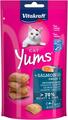Лакомство для кошек Vitakraft Yums с лососем и Омега-3, 40 г