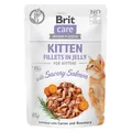 Корм вологий Brit Care Cat для кошенят лосось у желе, 85 г