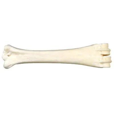 Ласощі Bubimex Calcium bone Кістка для жування з кальцієм для собак, 160 г