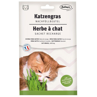 Трава для кошек Bubimex Cat Grass в виде семян, 100 г