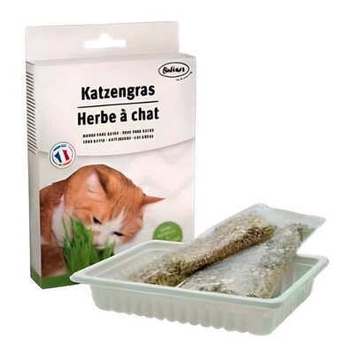 Трава для кошек Bubimex Cat Grass в виде семян, 100 г