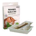 Трава для кошек Bubimex Cat Grass в виде семян, 100 г