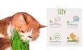 Трава для кошек Bubimex Cat Grass в виде семян, 100 г