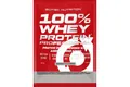 Протеїн сироватковий змішаний Scitec Nutrition 100% Whey Protein Professional кокос, 30 г