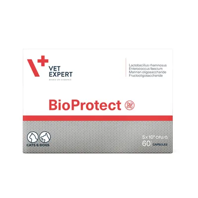 Біопротект VetExpert BioProtect для котів і собак із порушеною шлунково-кишковою мікрофлорою, 60 капсул