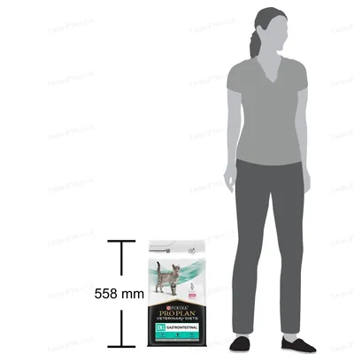 Корм сухий Purina Pro Plan Veterinary diets EN ST/OX Gastrointestinal для кішок при розладах травлення, 5 кг