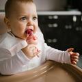 Ниблер BabyOno 1543 силиконовый для кормления Лягушонок, розовый
