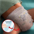 Подгузники-трусики Pampers Premium Care Pants детские размер 4, 9-15 кг, 58 шт