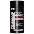 Бустер тестостерону з трибулусом Earth's Creation Bulgarian Tribulus Testosterone Booster, 60 капсул