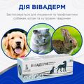 Вивадерм Modes мазь для животных, 25 г