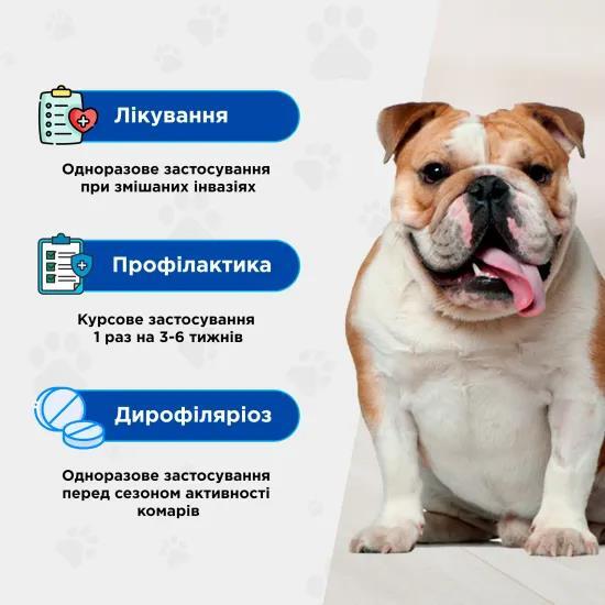 Квадромидас Modes противопаразитарные таблетки для собак 2,0 - 4,0 кг (0,2 г), 1 таблетка