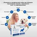 Квадромидас Modes противопаразитарные таблетки для собак 2,0 - 4,0 кг (0,2 г), 1 таблетка
